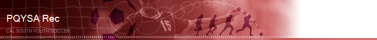 Cal South Youth Soccer banner